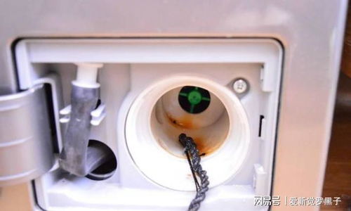 年末清潔大作戰 你家的洗衣機該洗了，共享洗衣機清潔全攻略