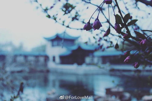 我們的美好時(shí)光 青島 攝影服務(wù)